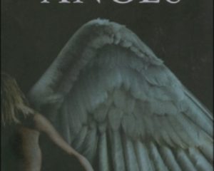 La Malédiction des anges – Tome 1